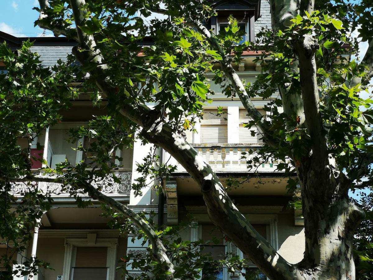 Spazioso E Accogliente Nel Centro Di 梅拉诺 外观 照片